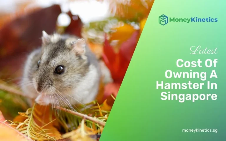 Cost Of Owning A Hamster In Singapore (2022 Update)