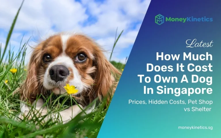 How Much Does It Cost To Own A Dog In Singapore? (2022 Prices, Hidden Costs, Pet Shop vs Shelter)