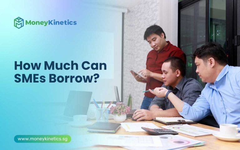 How Much Can SMEs Borrow?