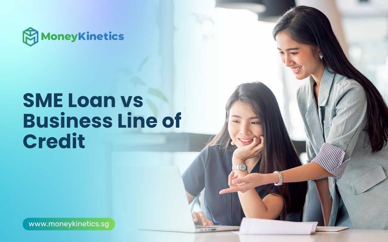SME Loan vs Business Line of Credit